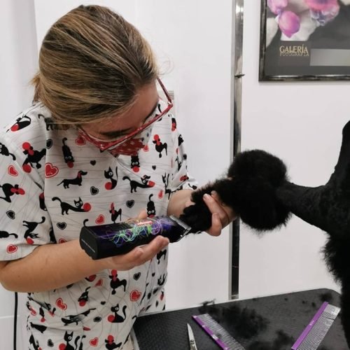 cortauñas perro cortauñas perro