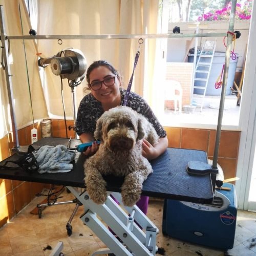 corte de pelo perro peluqueria perros Huelva corte de pelo