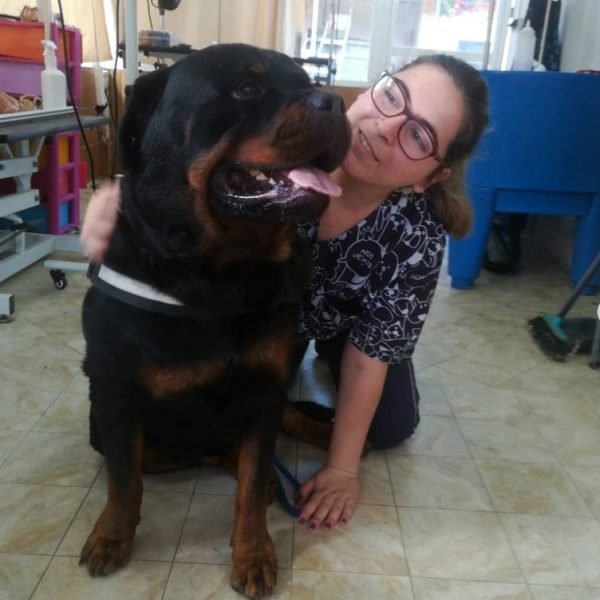 peluquería canina Huelva 7